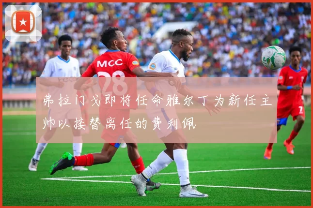 弗拉门戈即将任命雅尔丁为新任主帅以接替离任的费利佩